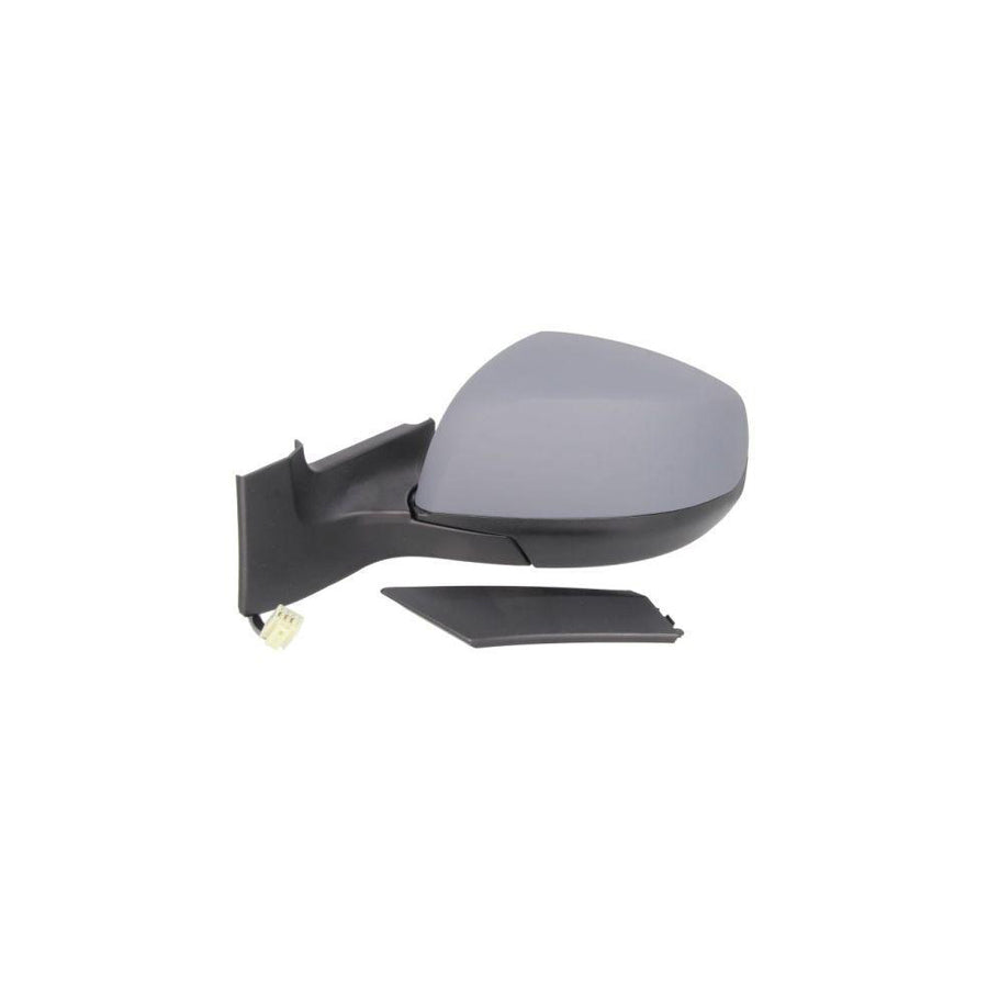 Blic 5402-04-2001971P Wing Mirror