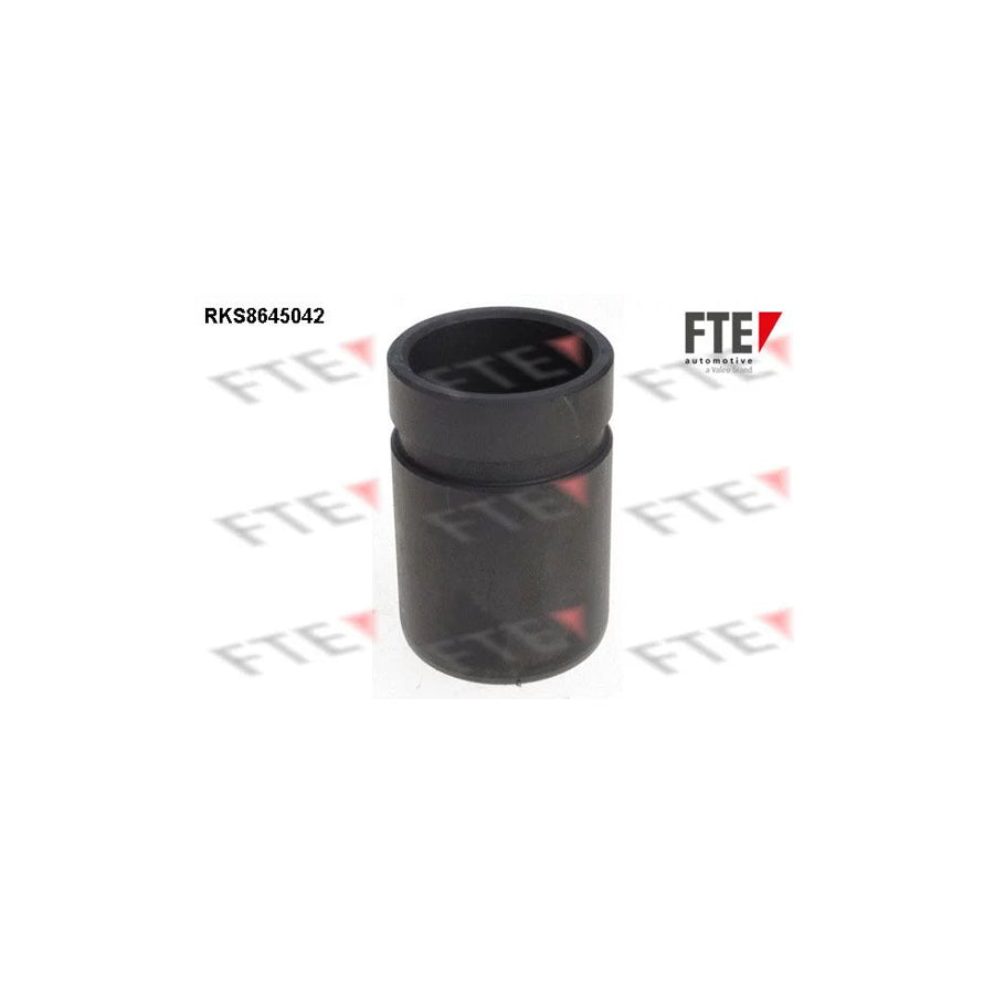FTE Rks8645042 Piston, Brake Caliper for Toyota Rav4 II Off-Road (Xa20)
