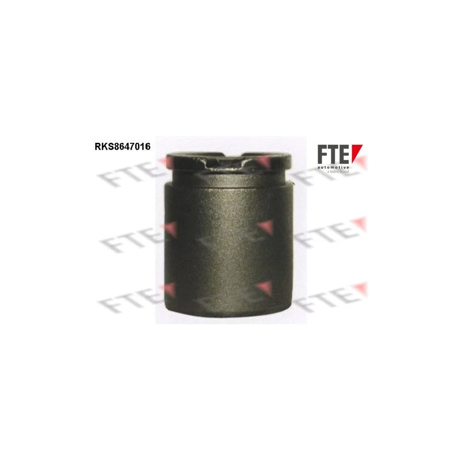 FTE Rks8647016 Piston, Brake Caliper