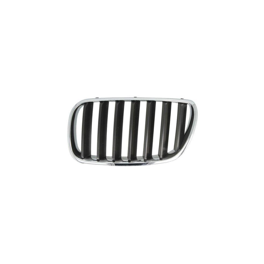Blic 6502-07-00939950P Radiator Grille for BMW X3 (E83)