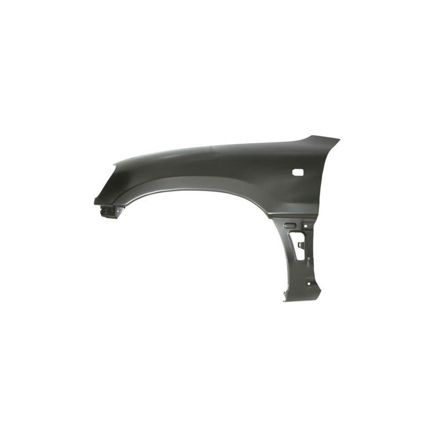 Blic 6504-04-8137313P Wing Fender for Toyota Rav 4
