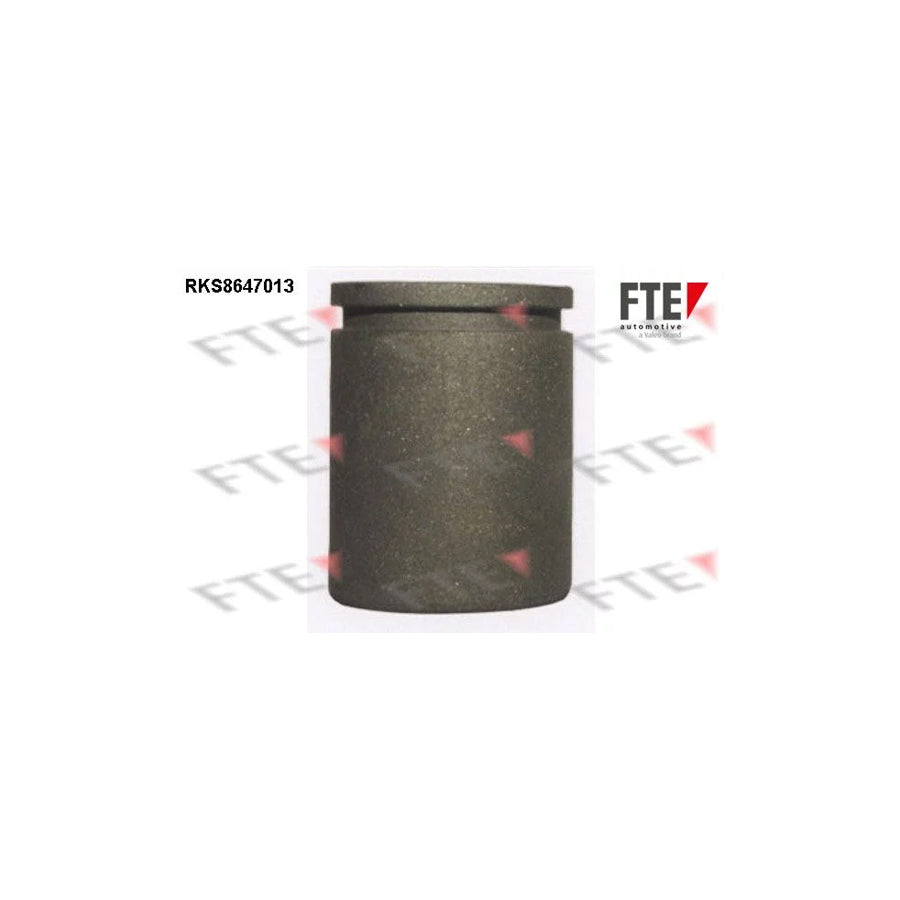 FTE Rks8647013 Piston, Brake Caliper