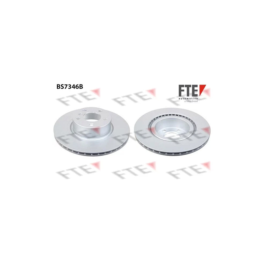 FTE Bs7346B Brake Disc