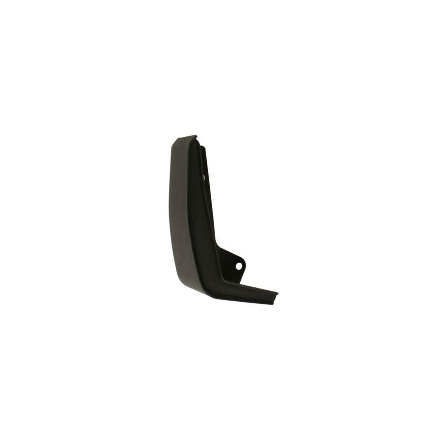 Blic 5703-08-2598371P Trim / Protective Strip, Mudguard