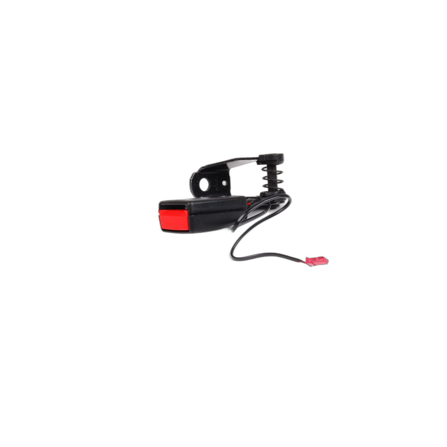 Genuine BMW 72119117209 E66 E65 E67 Lower Belt Rear Left (Inc. 750i, 760Li & 740Li)