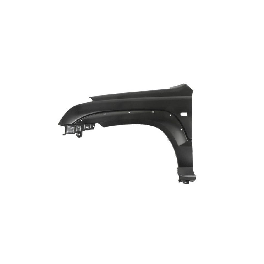 Blic 6504-04-8136313P Wing Fender for Toyota Land Cruiser Prado 120 (J120)
