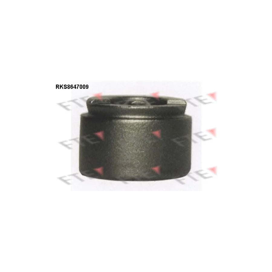FTE Rks8647009 Piston, Brake Caliper