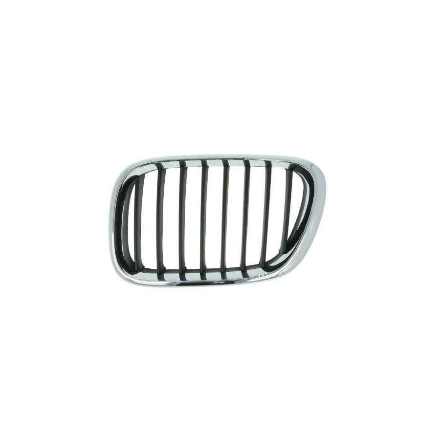 Blic 6502-07-0095993P Radiator Grille for BMW X5 (E53)