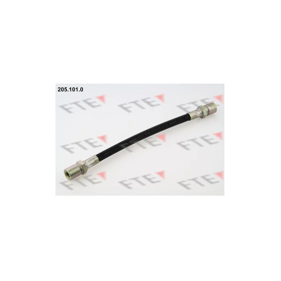FTE 205.101.0 Brake Hose
