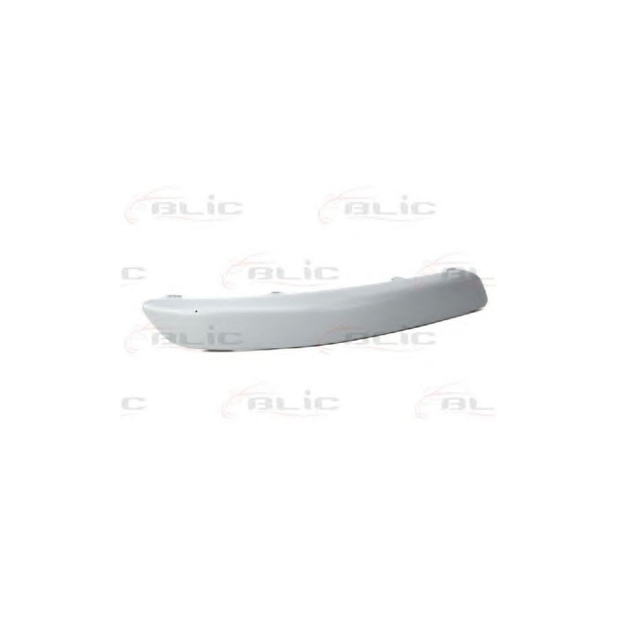Blic 6502-07-9524922P Bumper Moulding for VW Golf V Hatchback (1K1)
