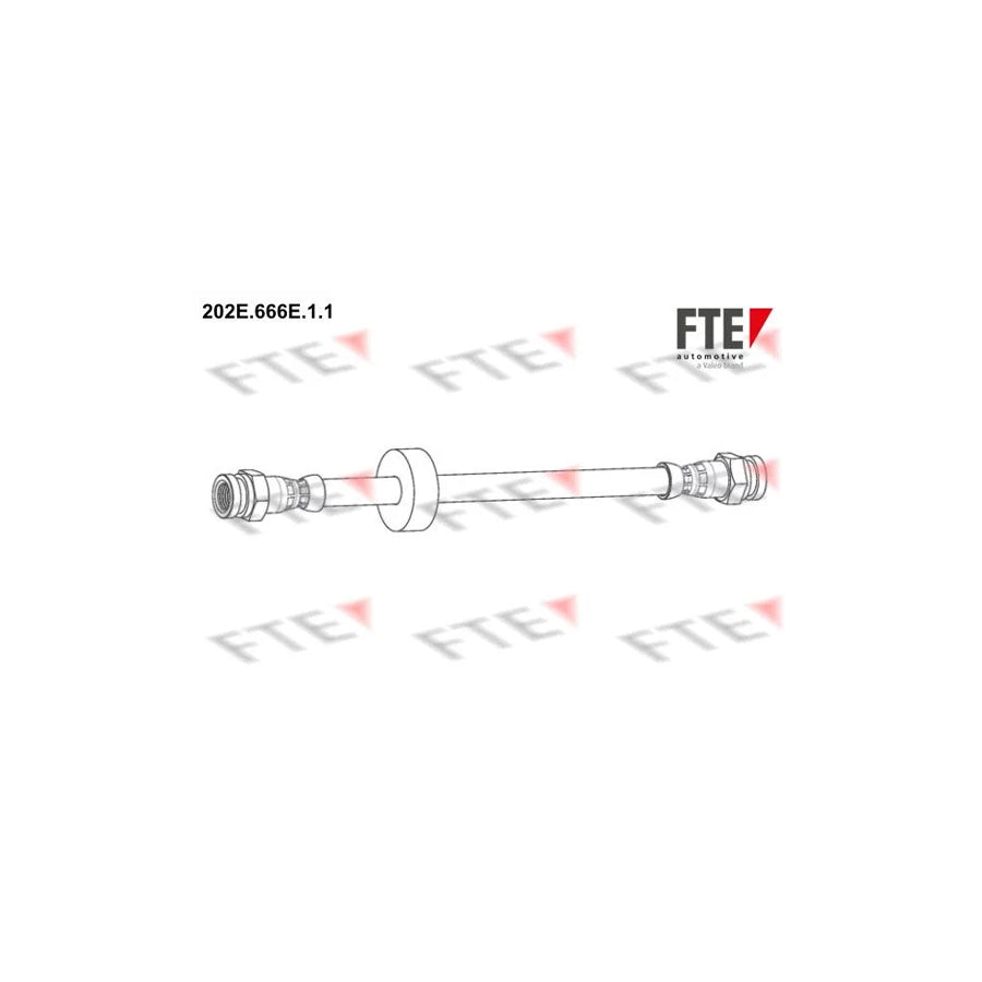 FTE 202E.666E.1.1 Brake Hose