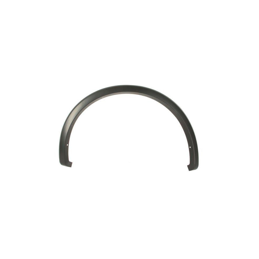 Blic 5703-08-2593374P Trim / Protective Strip, Mudguard for Ford USA F-150 Mk13 (P552) Standard Cab Pickup