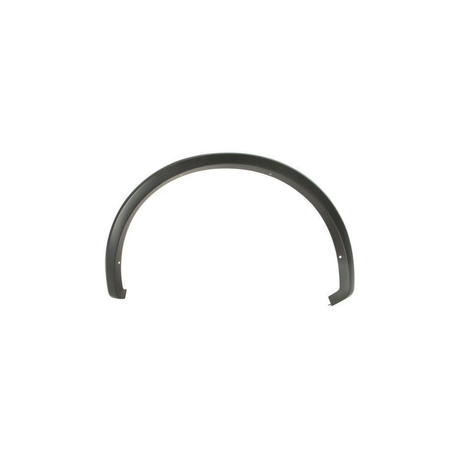 Blic 5703-08-2593373P Trim / Protective Strip, Mudguard for Ford USA F-150 Mk13 (P552) Standard Cab Pickup