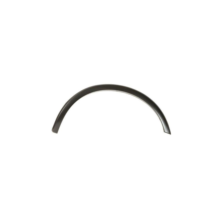 Blic 5703-08-2593372P Trim / Protective Strip, Mudguard for Ford USA F-150 Mk13 (P552) Standard Cab Pickup