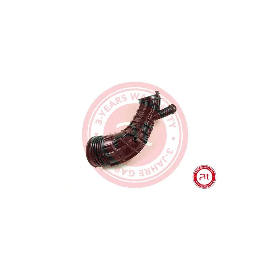 at autoteile germany At21248 Intake Pipe, Air Filter for BMW X3 (E83)