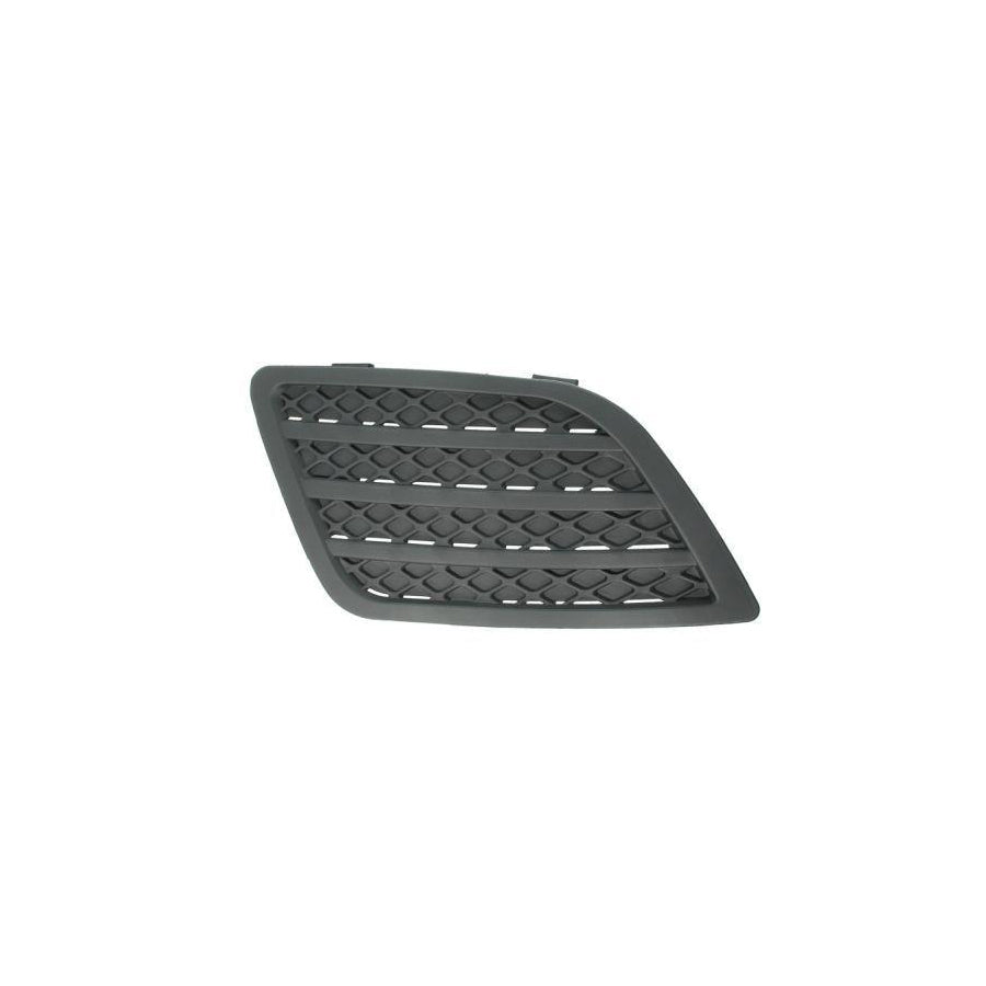 Blic 5513-00-2564924P Bumper Grill for Ford Fiesta