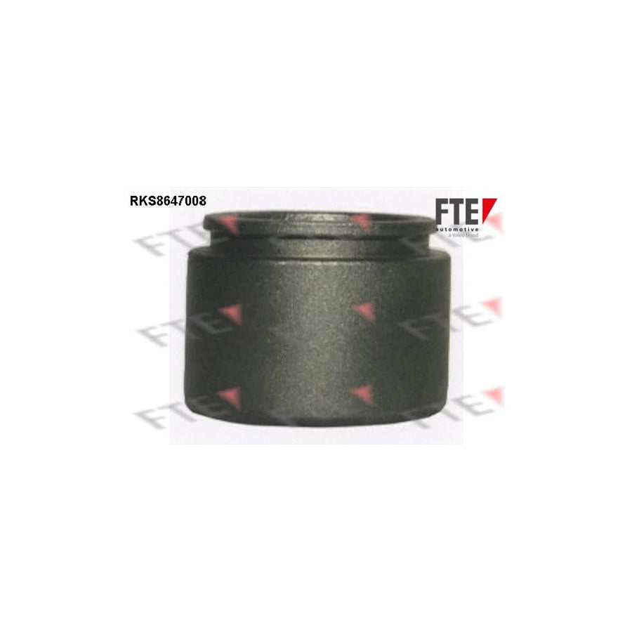 FTE Rks8647008 Piston, Brake Caliper