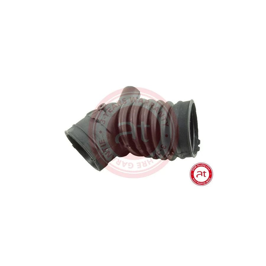 at autoteile germany At21245 Intake Pipe, Air Filter for BMW 3 Series