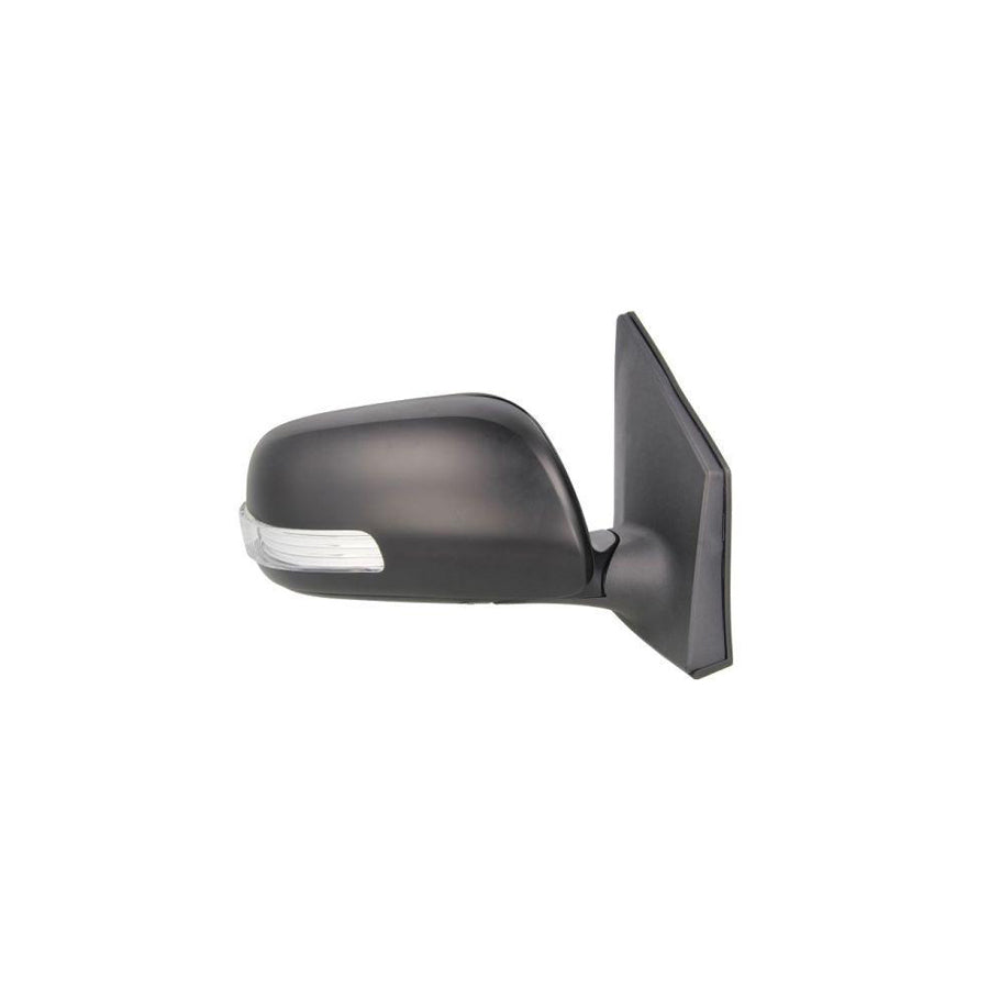 Blic 5402-19-2002474P Wing Mirror for Toyota Corolla X Saloon (E150)