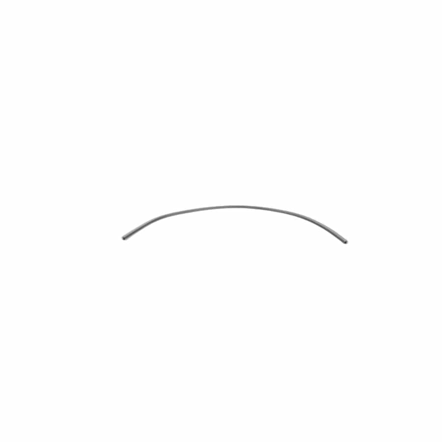 Genuine BMW 51768045445 E87 E88 E81 Seal, Equipment Module, Front L=1380 mm (Inc. 116i 2.0, 118i & 130i)