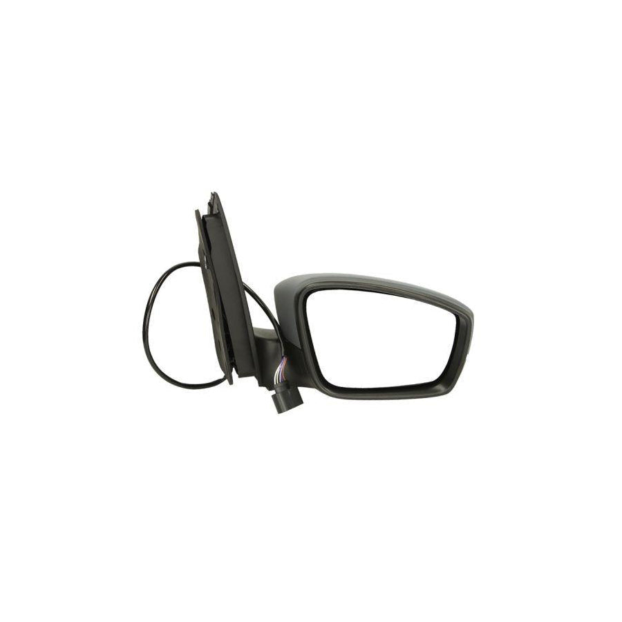 Blic 5402-01-060360P Wing Mirror