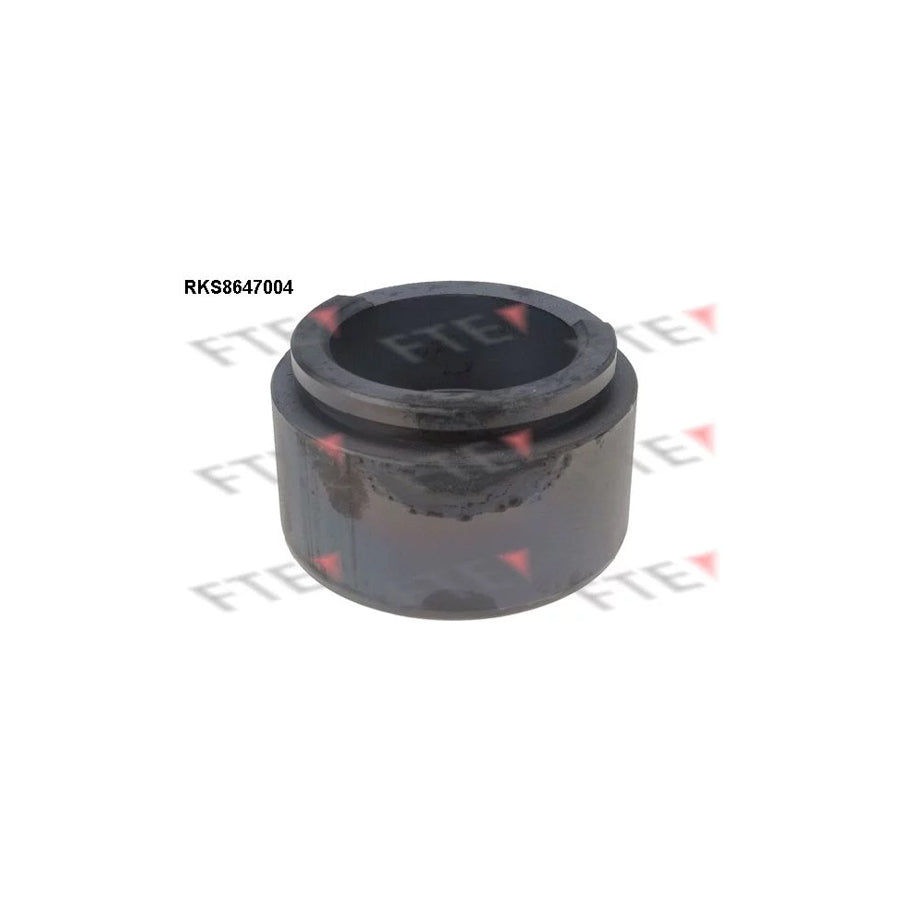 FTE Rks8647004 Piston, Brake Caliper for VW Lt