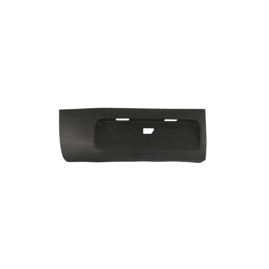 Blic 6600-04-2518901P Door Molding for Ford Transit