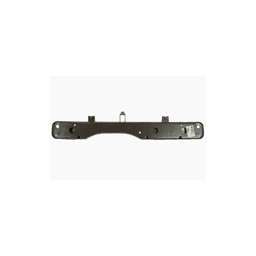 Blic 6502-08-6090202P Front Cowling for Renault Kadjar (Ha_, Hl_)