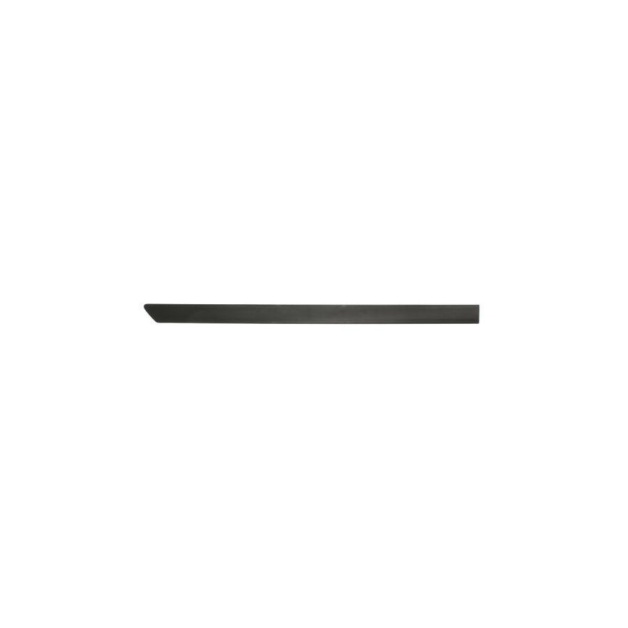 Blic 5703-04-5097574P Door Molding for Opel Combo