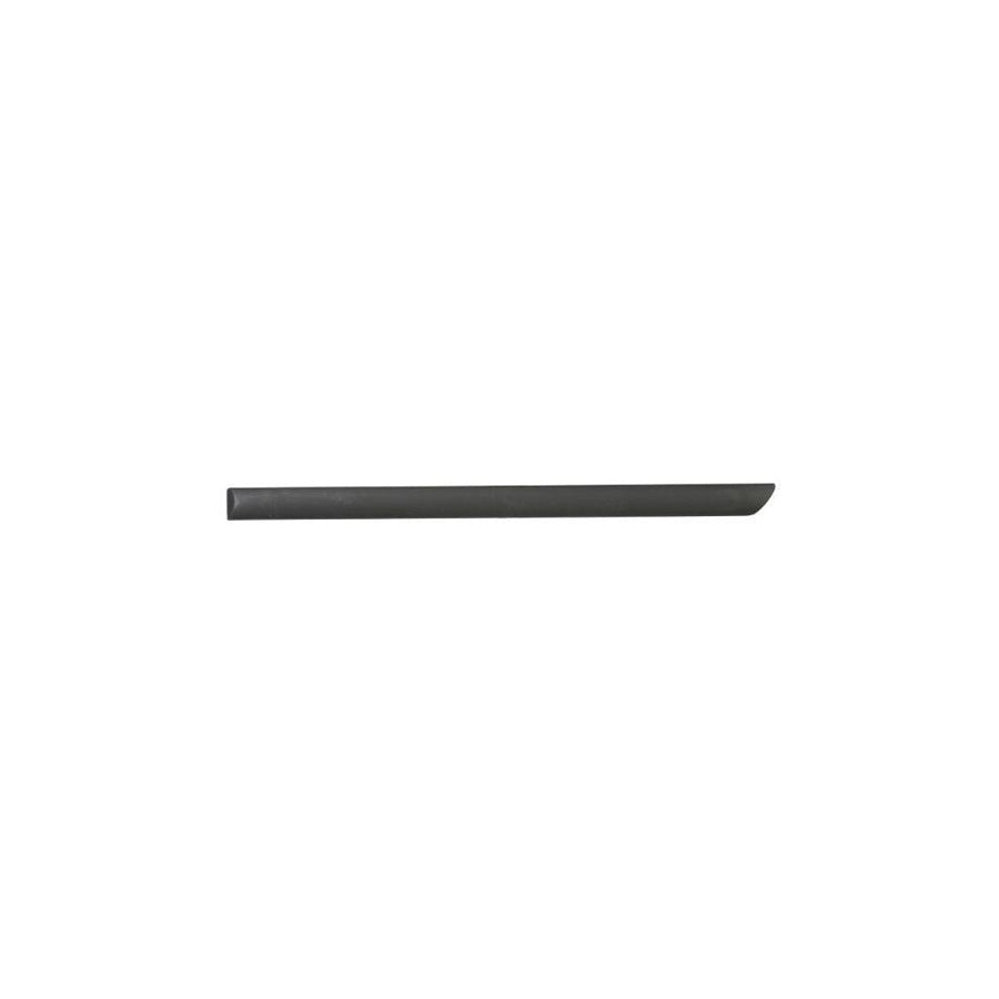 Blic 9999-43-006443P Door Molding for Skoda Octavia
