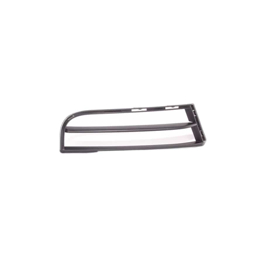 Genuine BMW 51118045922 E82 E88 Grill, Air Intake, Right (Inc. 135i)