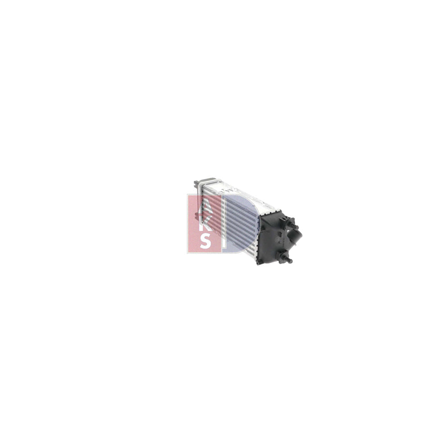 AKS Dasis 168016N Fan, Radiator