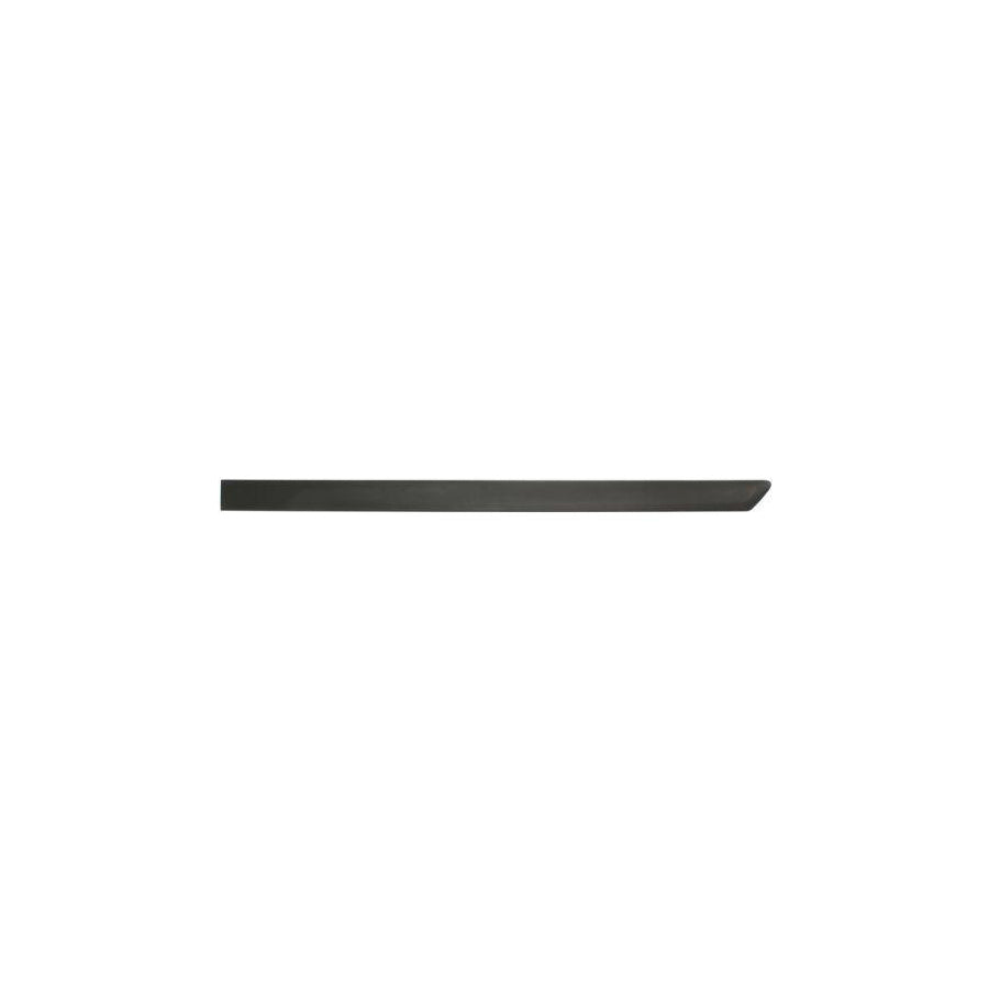 Blic 5703-04-5097573P Door Molding for Opel Combo