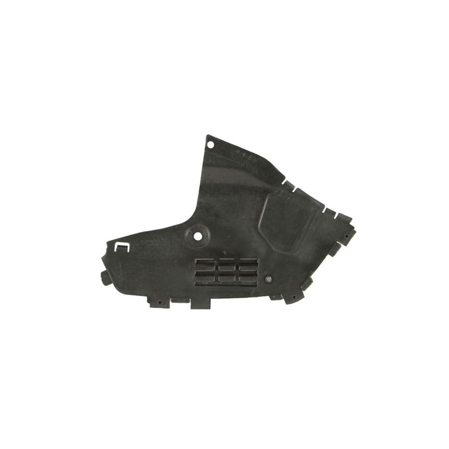 Blic 6601-05-0000023P Engine Cover