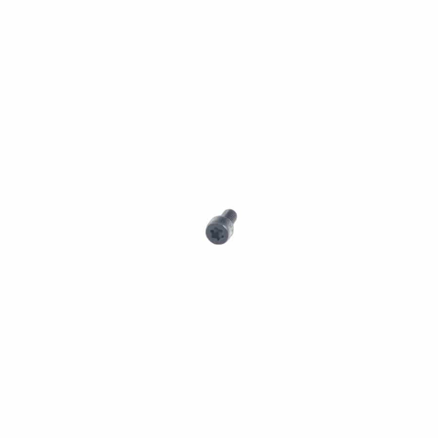 Genuine BMW 11617573826 E65 E53 E63 Torx-Bolt With Washer (Inc. X5 4.4i, Phantom EWB & 760Li)