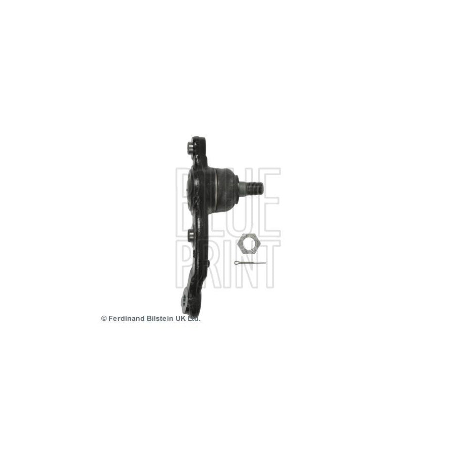 Blue Print Adt38660 Ball Joint for Lexus Ls II (Xf20)