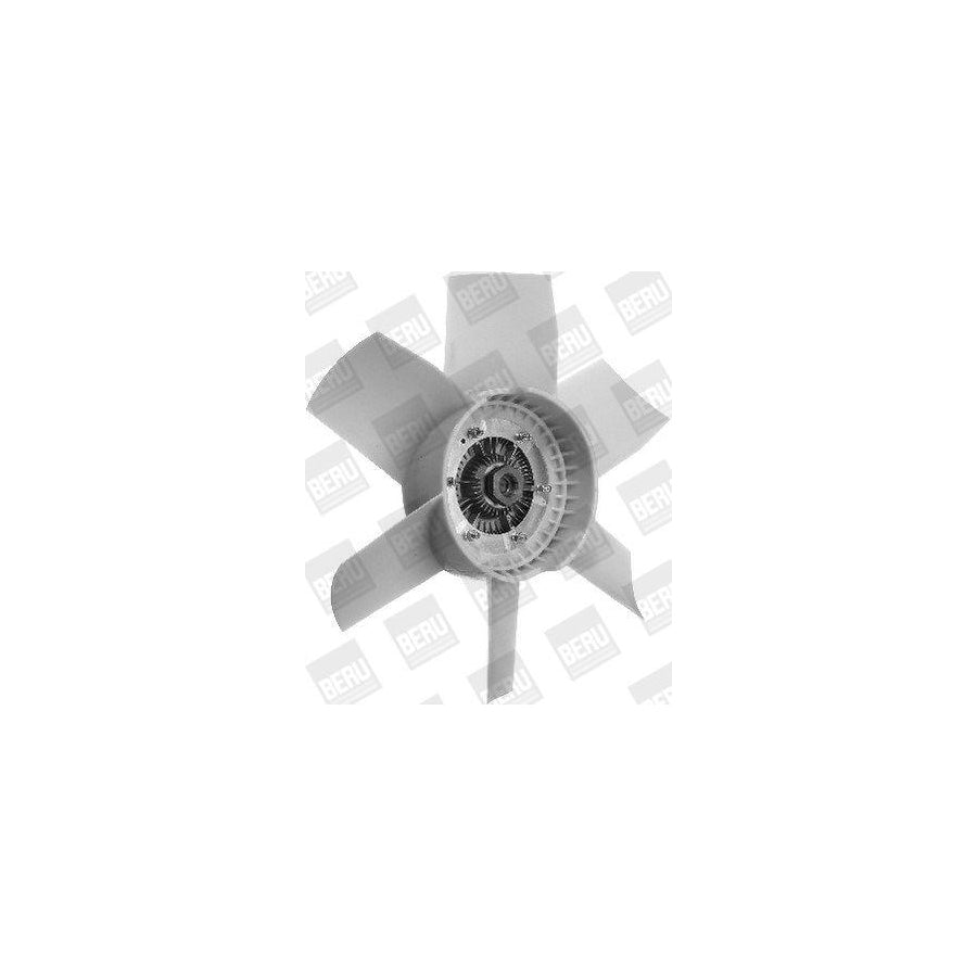 Beru Lkk028 Fan, Radiator