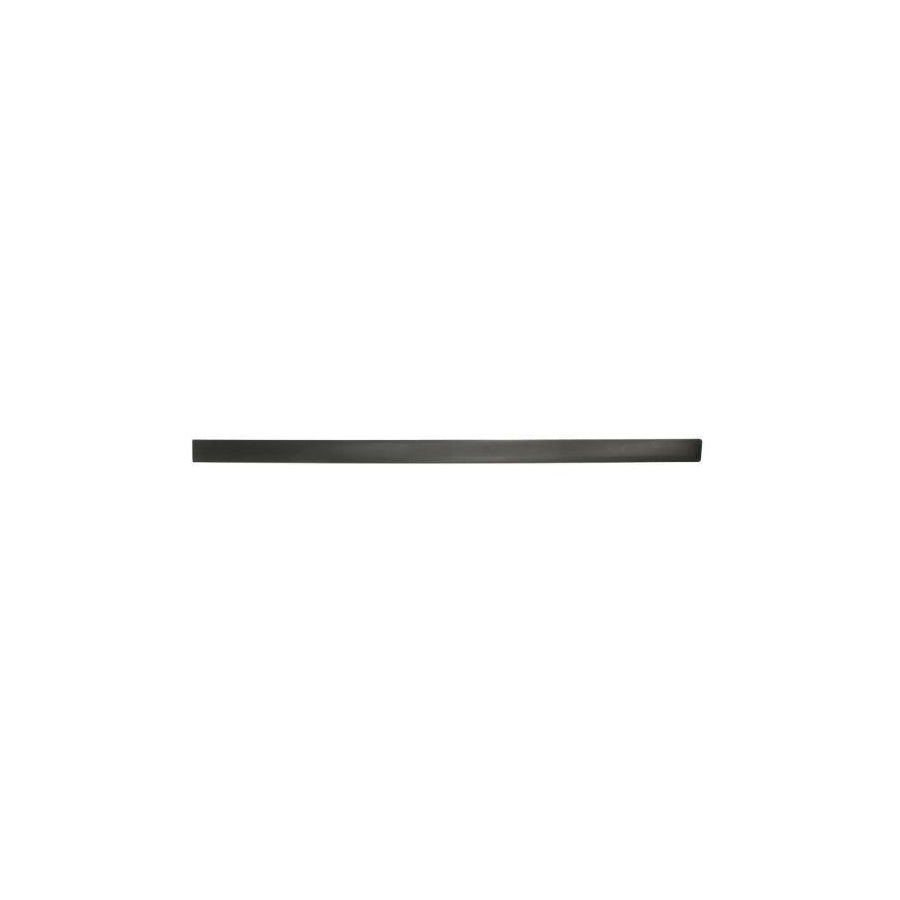 Blic 5703-04-5097572P Door Molding for Opel Combo