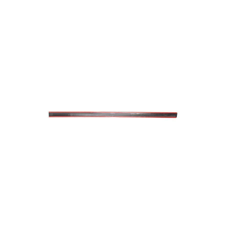 Blic 9999-43-006441P Door Molding for Skoda Octavia