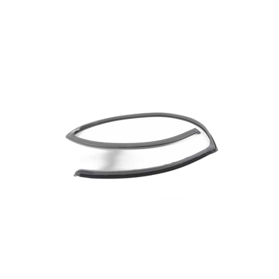 Genuine BMW 51767208592 E70 Gasket, Door Joint, Roof, Door Rear Rght (Inc. X5 35iX, X5 35dX & X5 30dX)