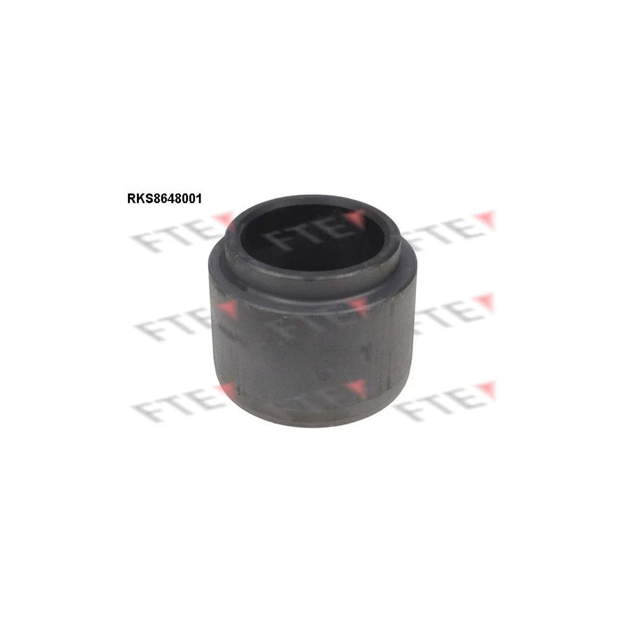 FTE Rks8648001 Piston, Brake Caliper