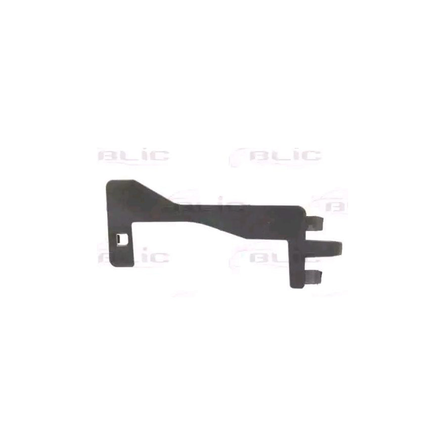 Blic 5510-00-6009924P Bumper Moulding