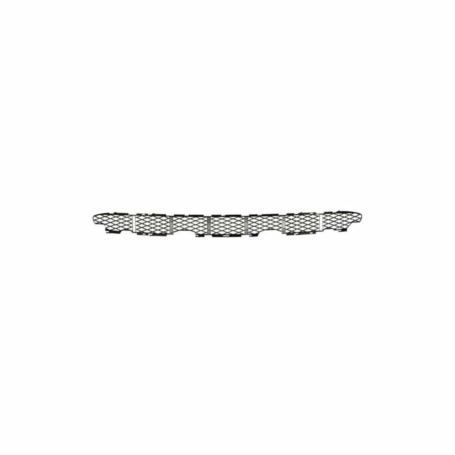 Blic 6502-07-0095910P Bumper Grill for BMW X5 (E53)
