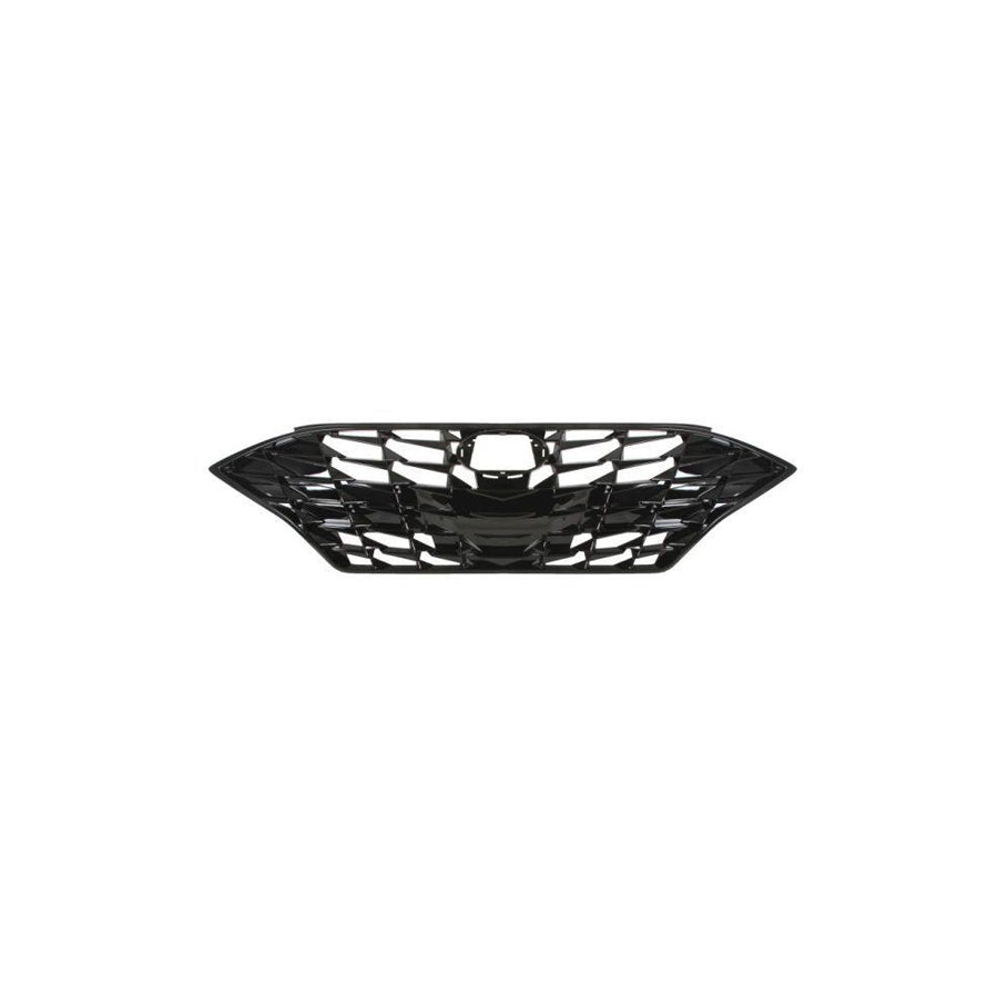 Blic 6502-07-3170990P Radiator Grille