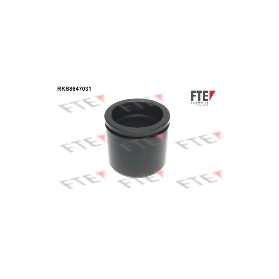 FTE Rks8647031 Piston, Brake Caliper