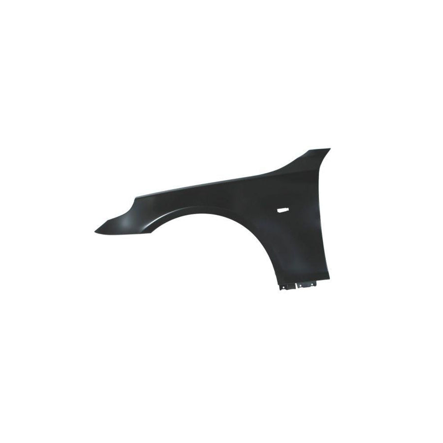 Blic 6504-04-0066313Q Wing Fender for BMW 5 Series