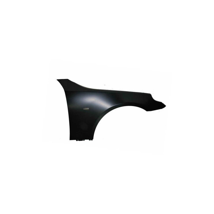 Blic 6504-04-0066312P Wing Fender for BMW 5 Series