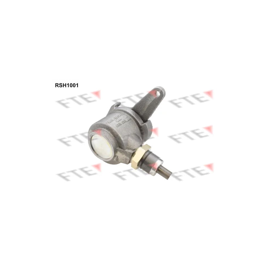 FTE 9910771 Lever, Compressed Air Brake System Caliper