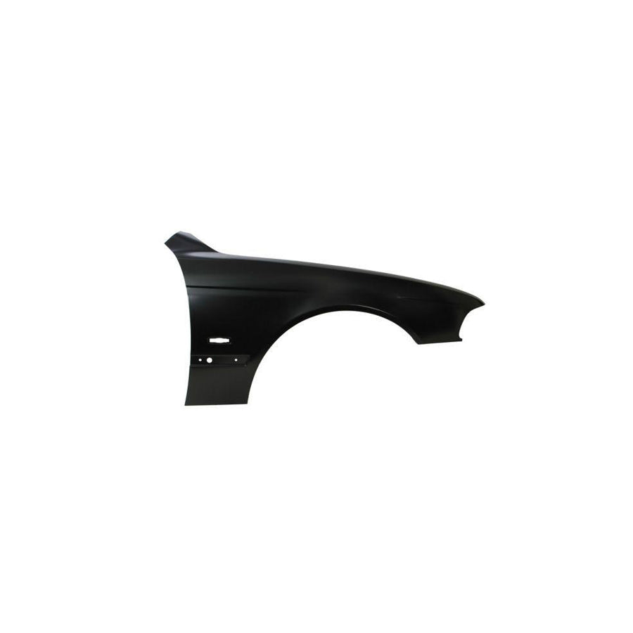 Blic 6504-04-0065312P Wing Fender for BMW 5 Series