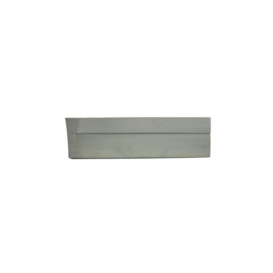 Blic 6015-00-9558121P Door, Body for VW Transporter